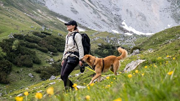 Wanderin mit Hund im Wettersteingebirge