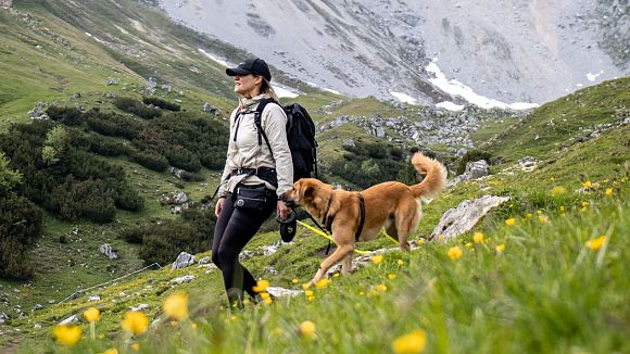 Wanderin mit Hund im Wettersteingebirge