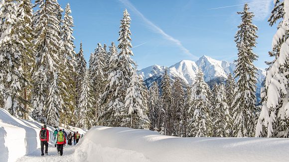 slider-weitwandern-etappe-3-teilnehmer-am-weg-im-wald-5-1