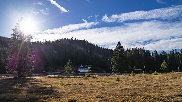 slider-wildmoosalm-im-herbst-seefeld-1