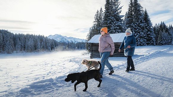 Menschen und Hunde im Schnee in der Region Seefeld. Verschneite Landschaft mit Bergen und Holzhaus.