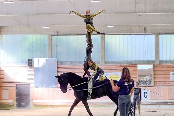 Acrobatics on horseback: vaulting at the Seefeld Equestrian Club