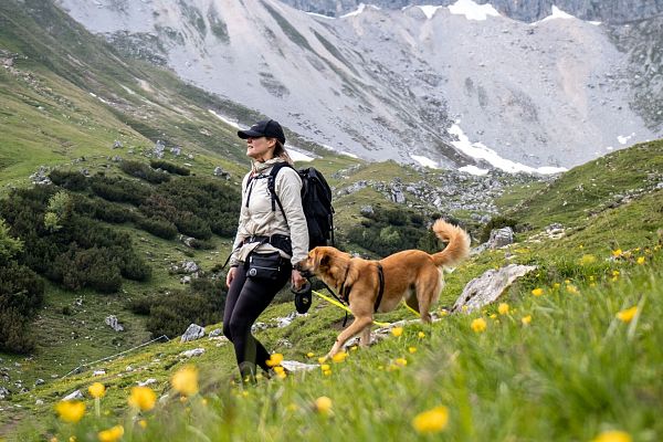 Wanderin mit Hund im Wettersteingebirge
