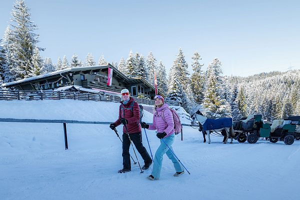 Winterwanderung nahe einer Berghütte, mit Pferdeschlitten in der Region Seefeld.