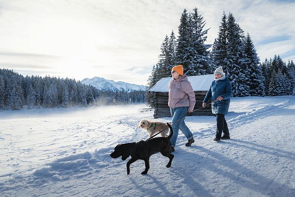 Menschen und Hunde im Schnee in der Region Seefeld. Verschneite Landschaft mit Bergen und Holzhaus.