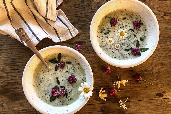 Wild herb soup: recipe for a healthy, delicious soup