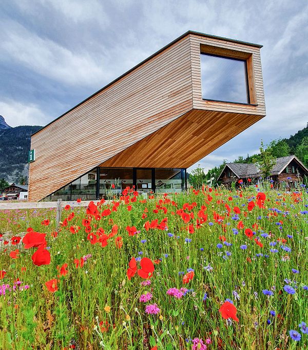 Blumenwiese vor dem Infozentrum Scharnitz (3)