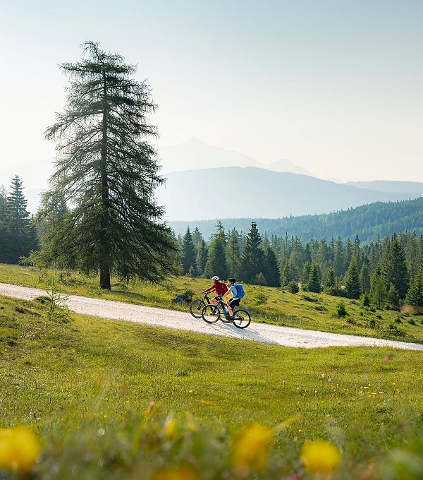 Zwei Radfahrer in der Region Seefeld auf einem Hügelweg, umgeben von blühenden Wiesen und Wald.