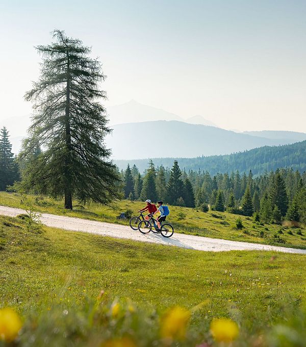 Zwei Radfahrer auf einem Weg in der Berge umgeben von Bäumen und Wiesen.