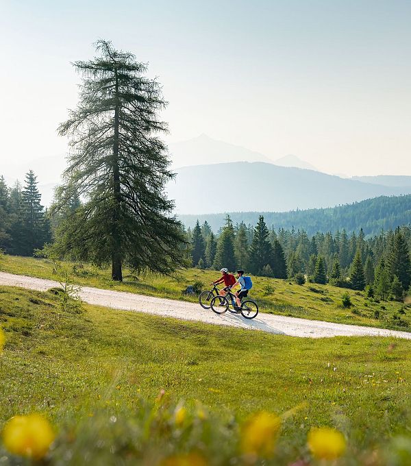 Zwei Radfahrer auf einem Weg in der Berge umgeben von Bäumen und Wiesen.