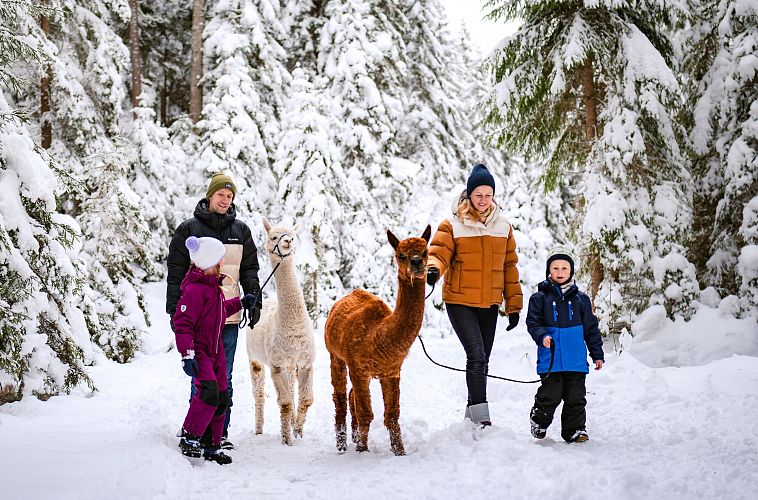 Familie beim Lama-Spaziergang in verschneitem Wald. Kinder und Erwachsene lächeln und tragen Winterkleidung.