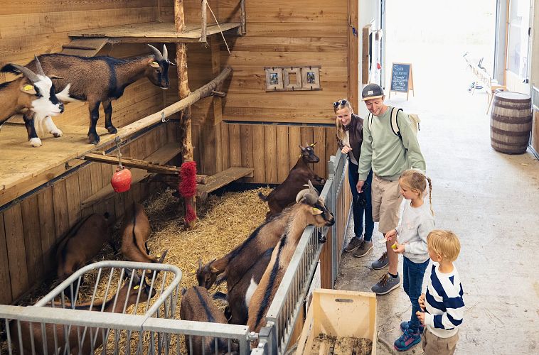 Familienurlaub in der Region Seefeld - Familie bei Sigis Sauhaufen
