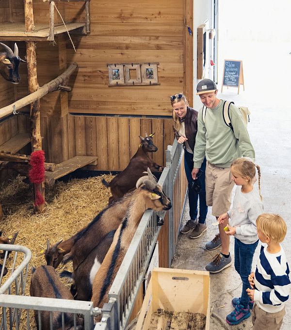 Familie beobachtet Ziegen in einem Stall.
