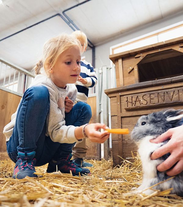 Mädchen füttert einen Hasen mit einer Karotte in einem Stall.
