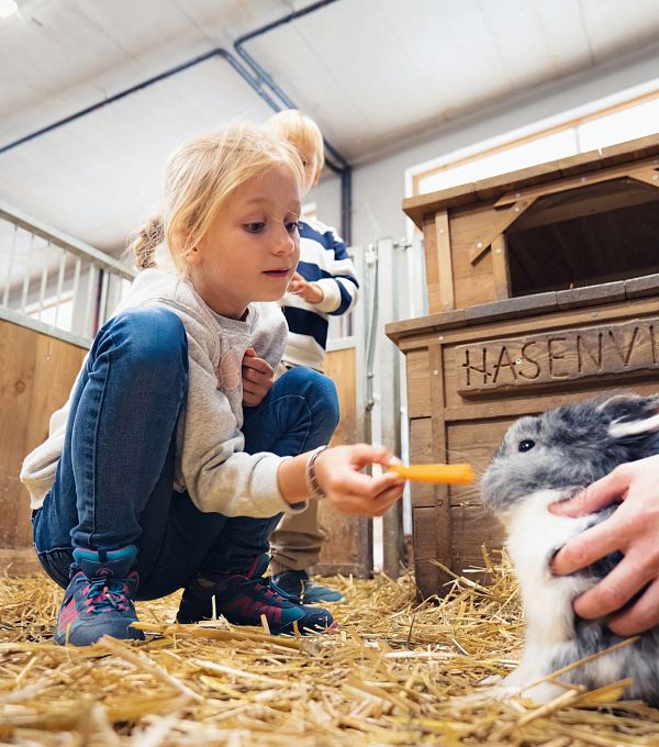 Mädchen füttert einen Hasen mit einer Karotte in einem Stall.