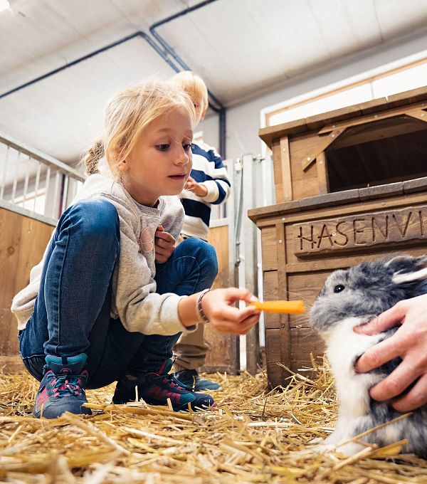 A girl feeds a rabbit with a carrot in a barn setting.