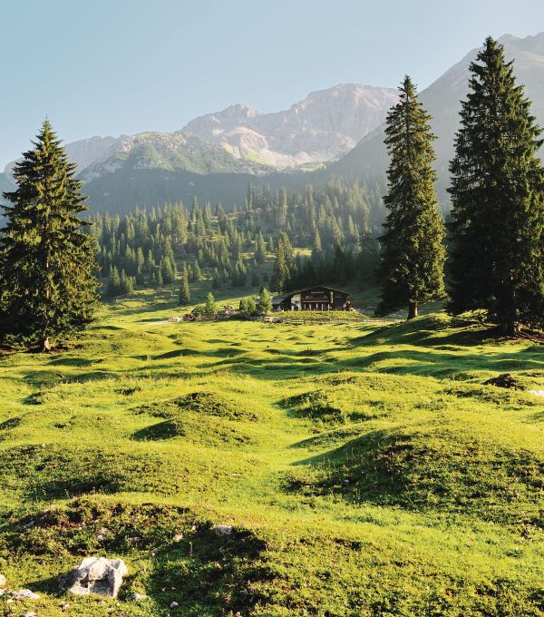 gaistalalm-im-sommer-leutasch-1