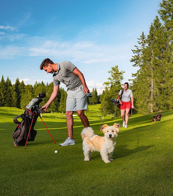 Ein Mann mit Golfschlägern und ein Hund auf einem Golfplatz. Eine Frau geht im Hintergrund.