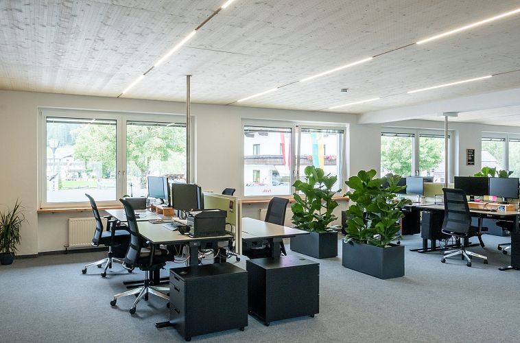 Modernes Büro mit mehreren Arbeitsplätzen, großen Fenstern und Pflanzen.