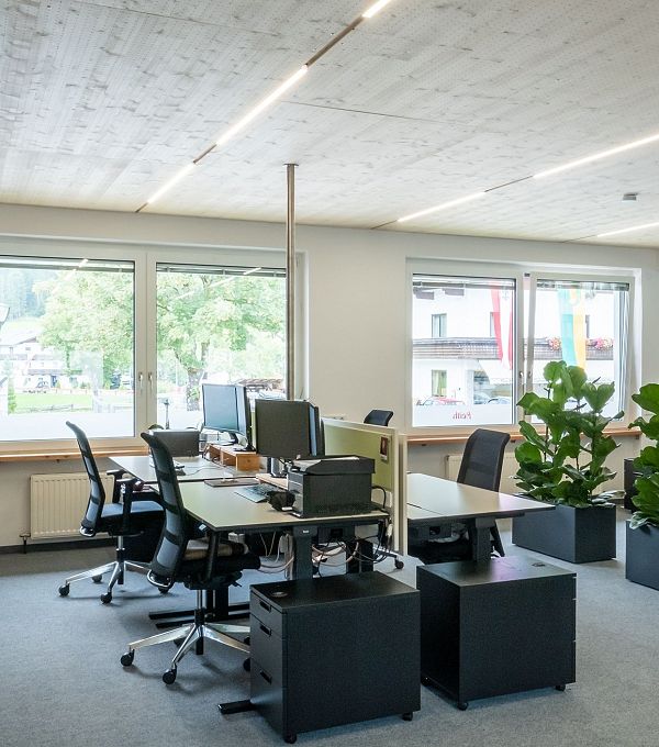 Modernes Büro mit mehreren Arbeitsplätzen, großen Fenstern und Pflanzen.
