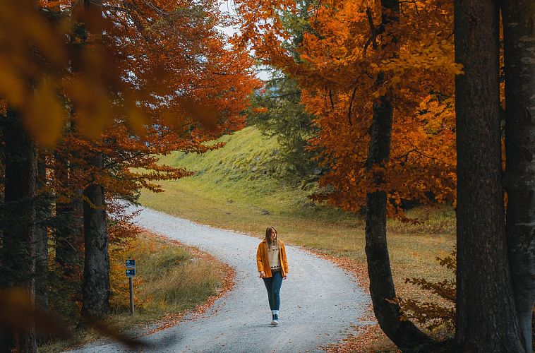 Herbst in der Region Seefeld - Wanderin am Gschwandtkopf im goldenen Buchenwald - Seefeld (Edit 1)