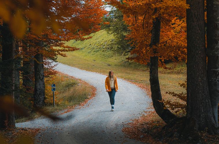 Herbst in der Region Seefeld - Wanderin am Gschwandtkopf im goldenen Buchenwald - Seefeld (Edit 1)