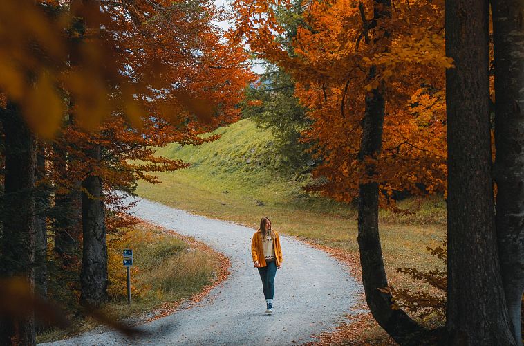 Herbst in der Region Seefeld - Wanderin am Gschwandtkopf im goldenen Buchenwald - Seefeld (Edit 1)