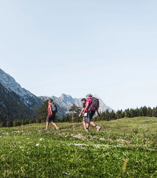 Zwei Personen wandern in der Natur mit Bergen im Hintergrund.