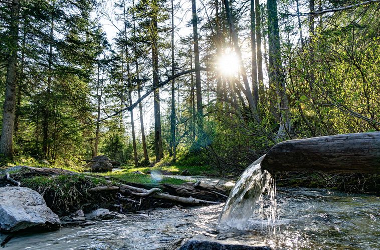 Isarursprung im Abendlicht - Scharnitz