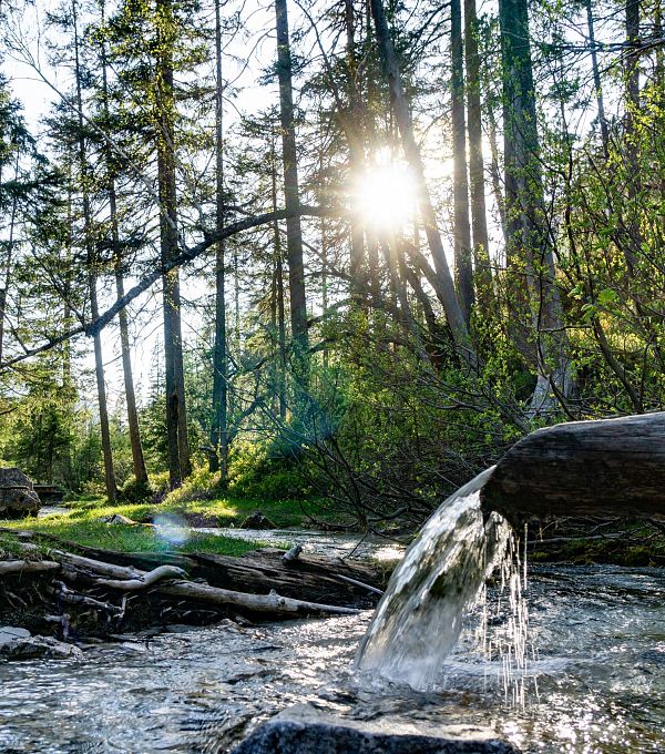 isarursprung-im-abendlicht-scharnitz-9
