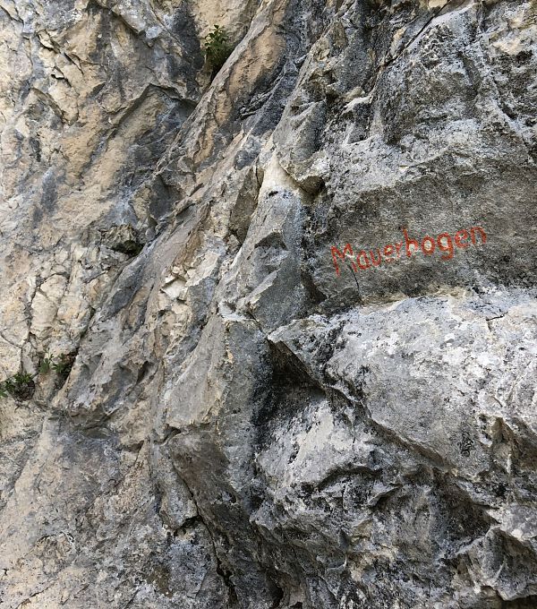 kletterwand-mauerbogen-in-leutasch-4-1