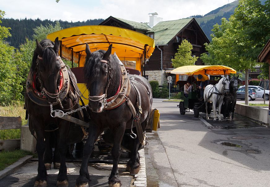kutsche-am-fiakerplatz-seefeld-2