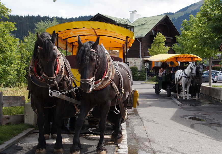 kutsche-am-fiakerplatz-seefeld-6