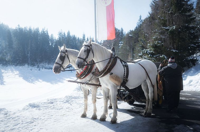 kutsche-bei-lottenseehuette-im-winter