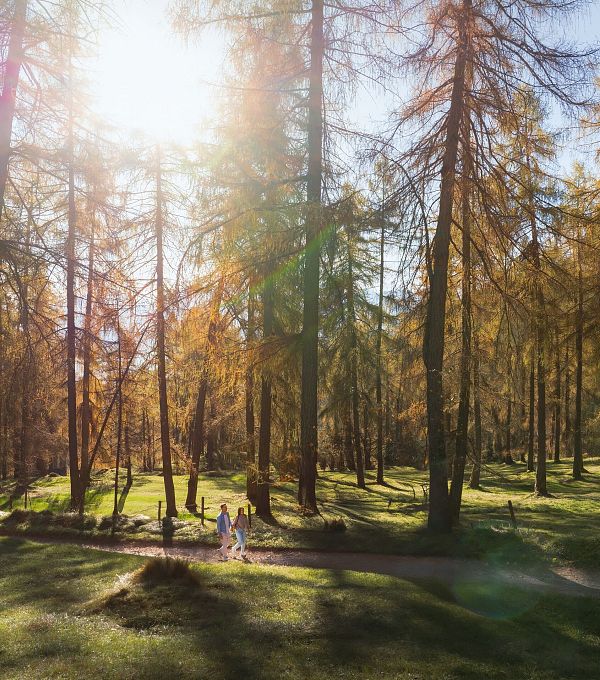 Lärchenwald in Reith - Drohnenaufnahme - Paar läuft zur den Wald - Aufnahme Richtung Sonne (1)