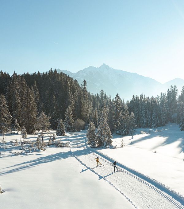 Langläufer in der Region Seefeld auf einer sonnigen Schneeloipe, umgeben von verschneiten Bäumen und Bergen.
