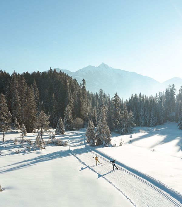 Schneebedeckte Landschaft mit Bäumen und zwei Personen, die im Schnee spazieren gehen.