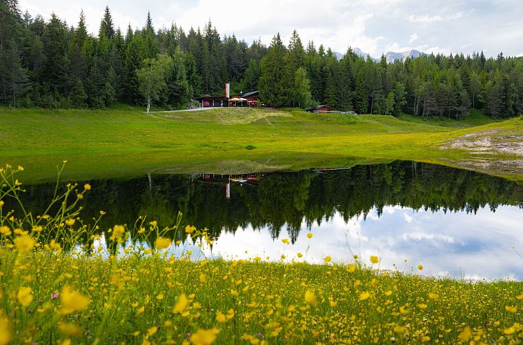 Lottensee im Frühsommer - See und Hütte mit vielen gelben Blumen im Vordergrund