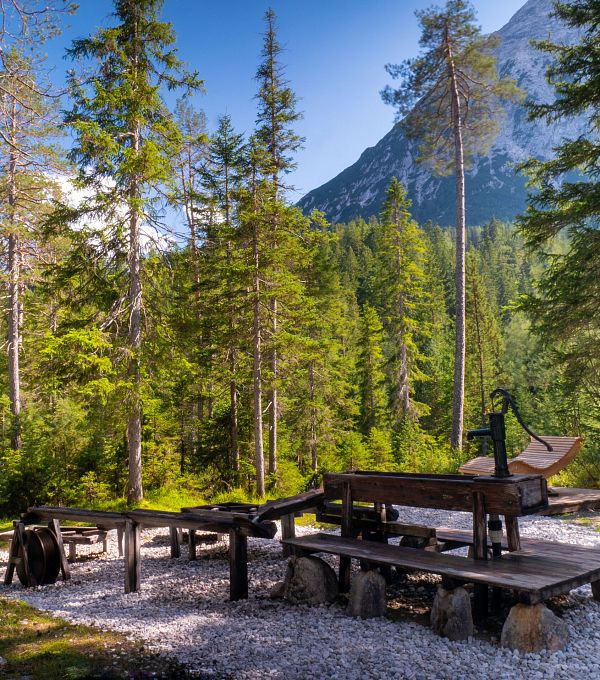 Rustikale Holzbank und Tisch in einem Wald mit hohen Bäumen und Bergen.