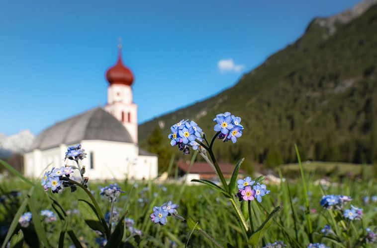 Pfarrkirche St.Magdalena Leutasch im Frühling_blaue Blumen