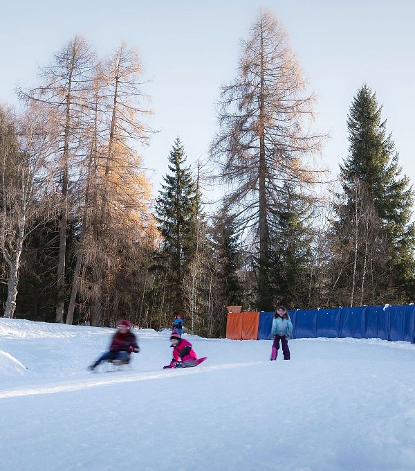 Rodelhügel Seefeld_Familie fährt den Hügel hinab