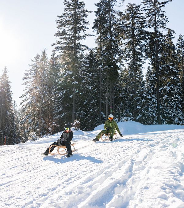 Zwei Rodler in der Schneelandschaft, umgeben von Tannenbäumen.