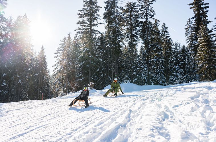 Zwei Rodler in der Schneelandschaft, umgeben von Tannenbäumen.