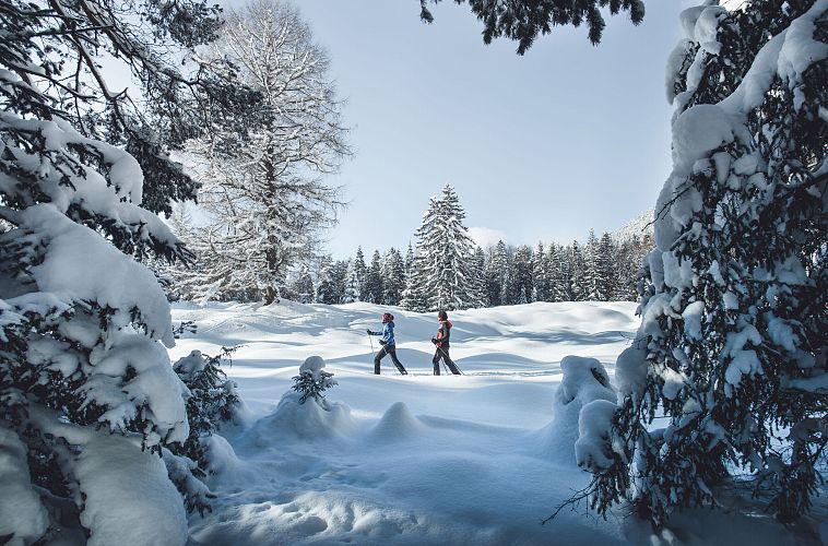 Winterwanderung in der Region Seefeld durch verschneite Landschaft und Bäume unter blauem Himmel.