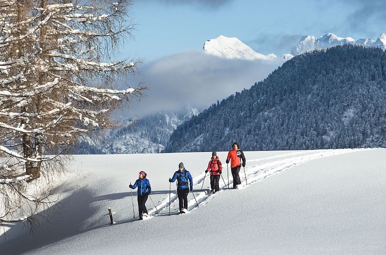 Vier Personen beim Langlaufen in der verschneiten Region Seefeld vor schneebedeckten Bergen.