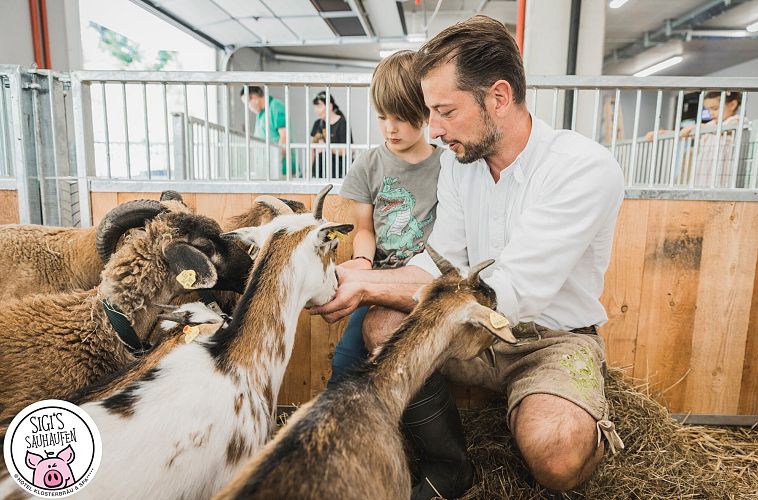 sigis-sauhaufen-im-hotel-klosterbraeu-alois-seyrling-und-sohn-im-stall-seefeld