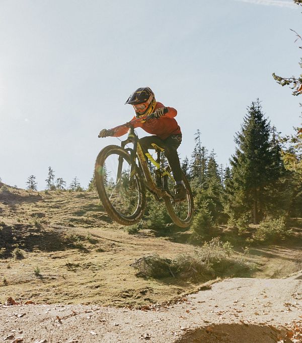 Radfahrer springt über einen Hügel in einer bewaldeten Landschaft.