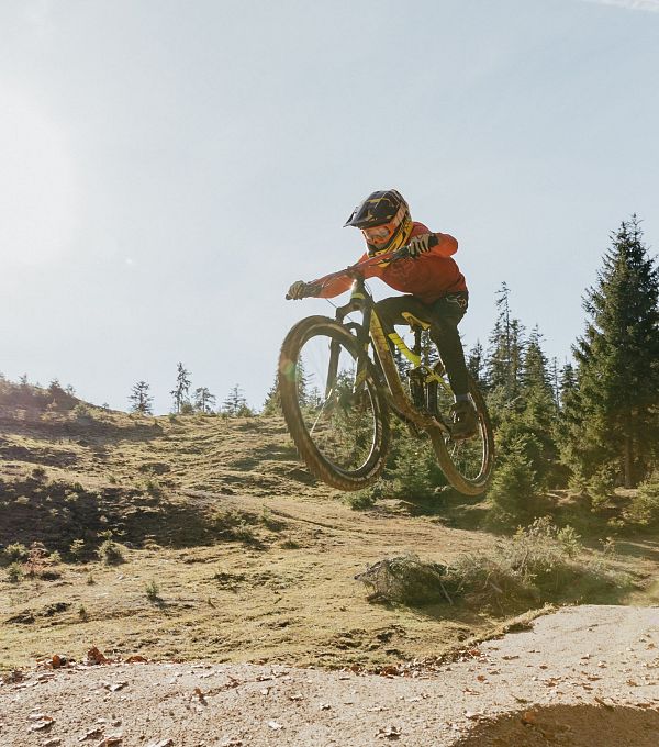 A mountain biker jumps over a dirt ramp in a sunny forest.