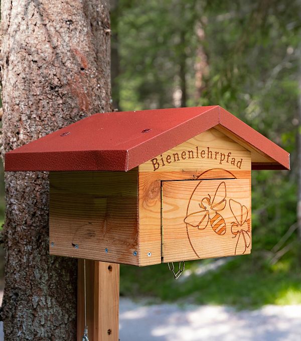 Stempelstation Bienenlehrpfad_Wald im Hintergrund