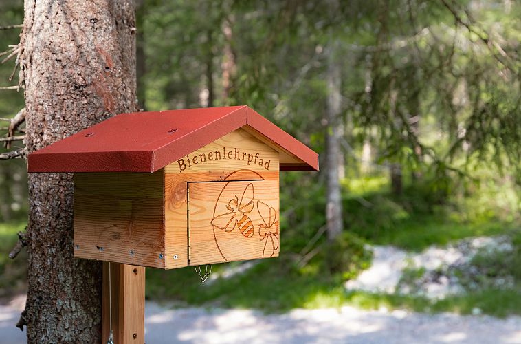 Stempelstation Bienenlehrpfad_Wald im Hintergrund